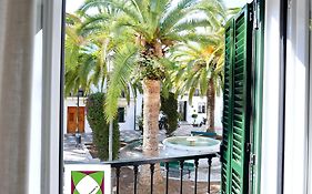 Palm House 10